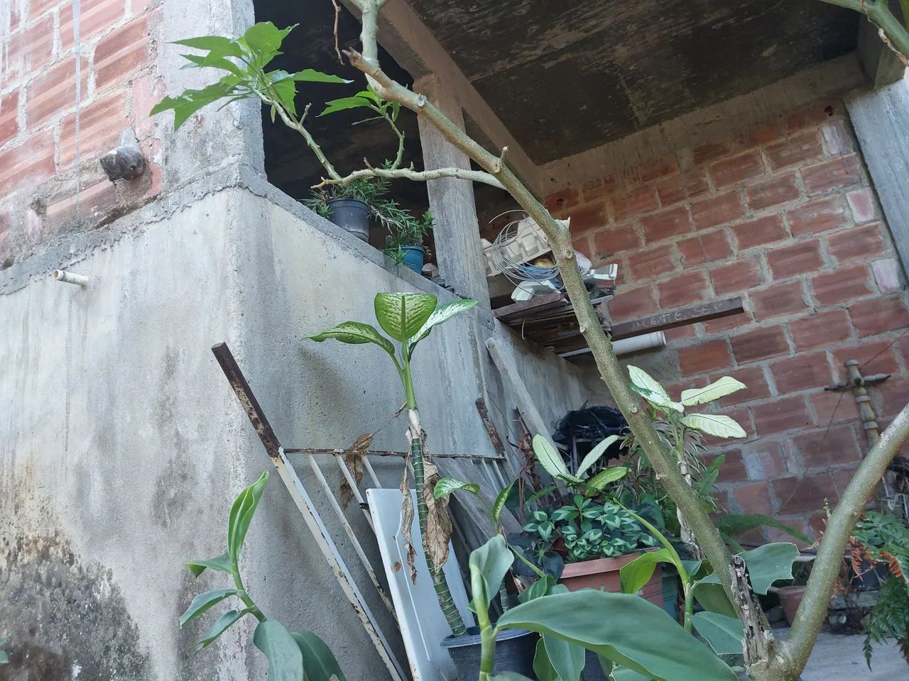 vê da de terreno  em nova grecia tribobo - Foto 2