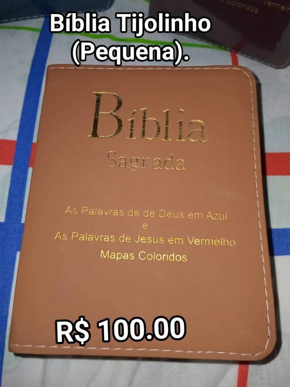 Holy Bible - Almeida Revised and Corrected Edition64728255098369123