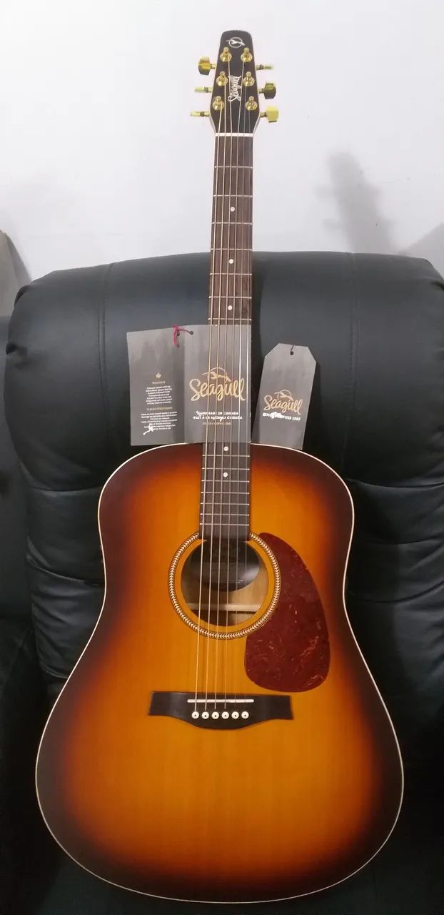 VIOLÃO GODIN (Seagull , Rustic )