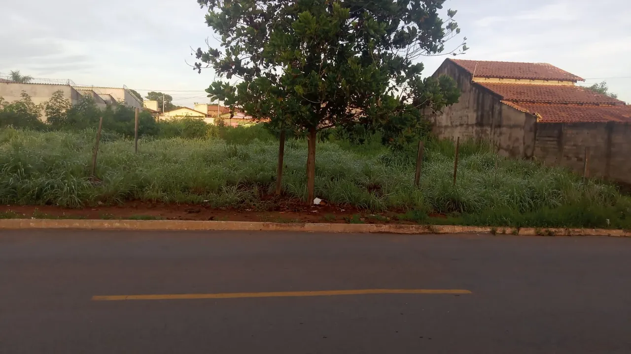 Lote 250,00m² (Asfalto e Agua) Jardim das Acacias