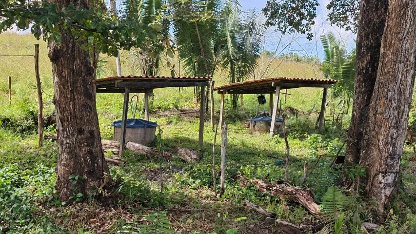 Fazenda de 333ha em Itapecuru Mirim