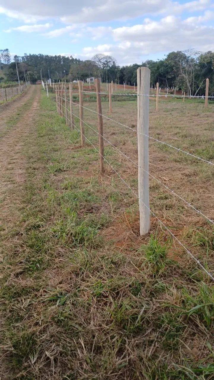Foto - Campinas - Jardim Aero Continental