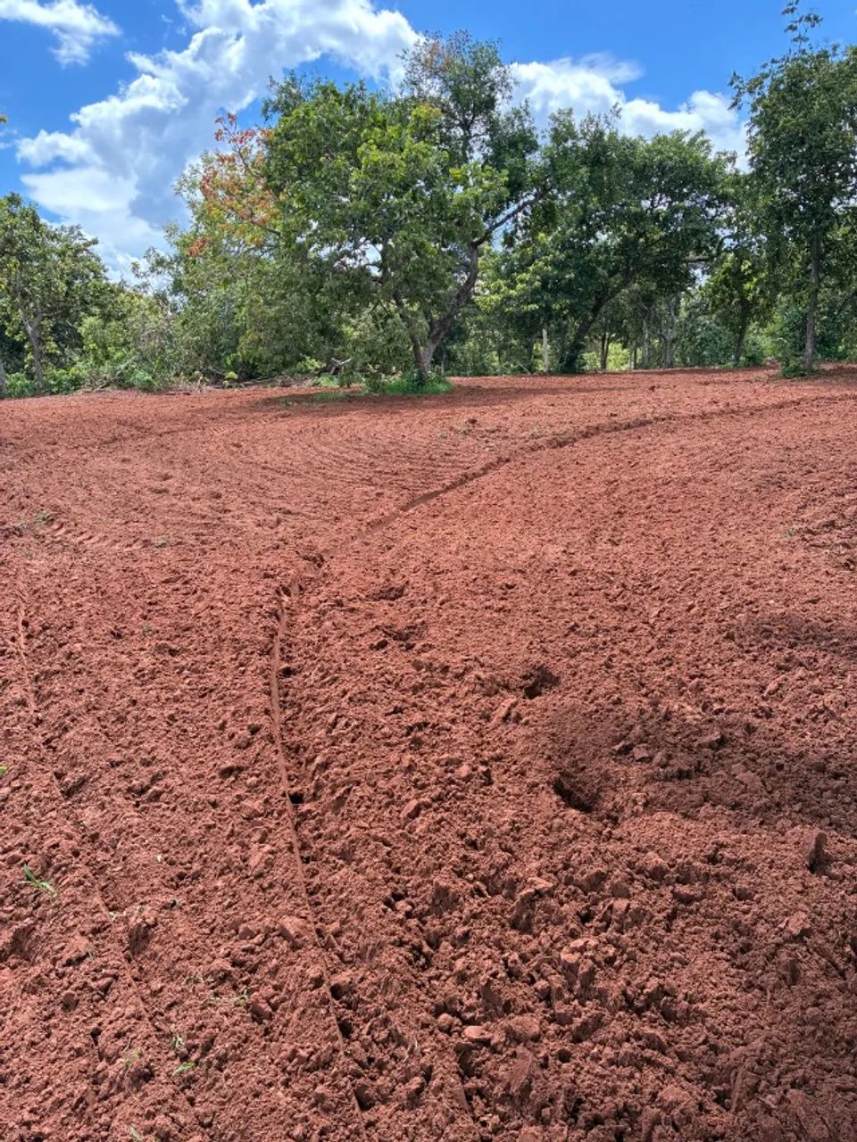 Chácara para Pecuária e Lazer  - Foto 5