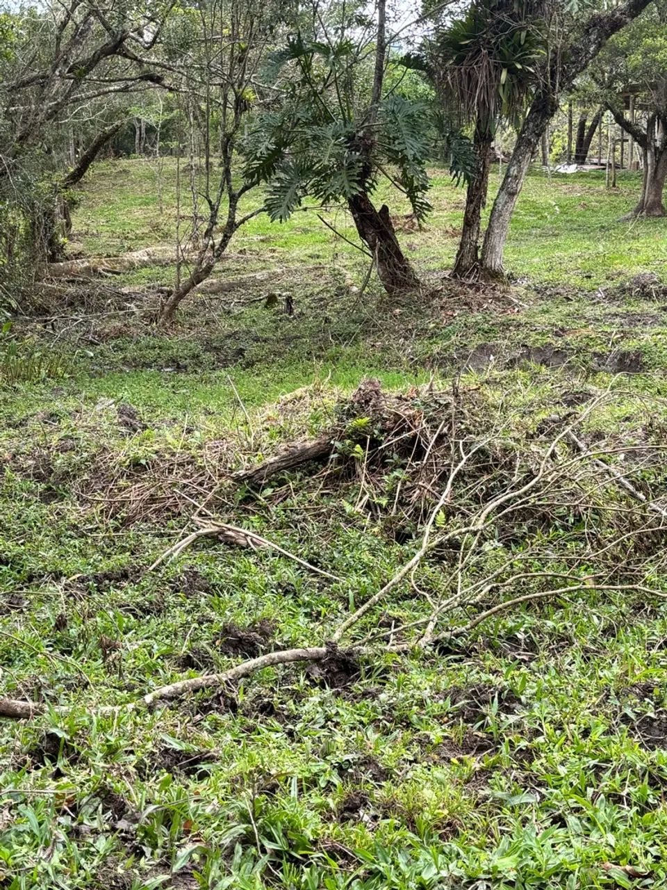 Sítio/terreno - Foto 3