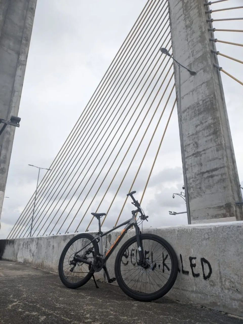 Aro 29 Audax  - Foto 4
