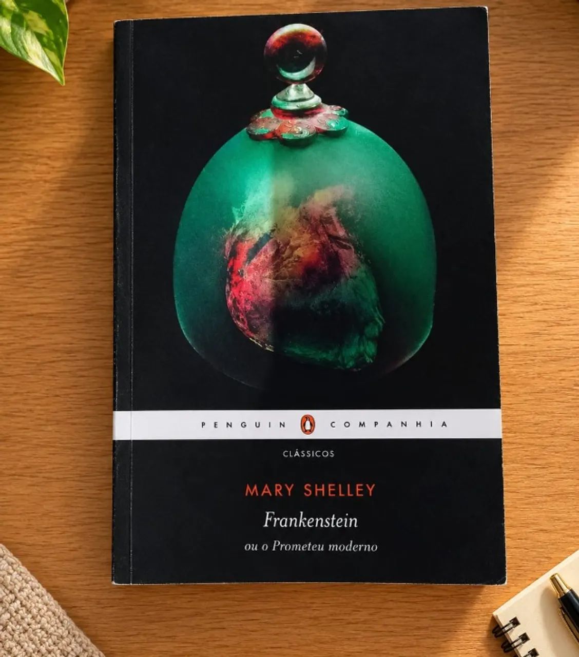 MARY SHELLEY - FRANKENSTEIN