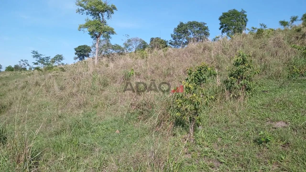 FAZENDA FORMIGA - Foto 5