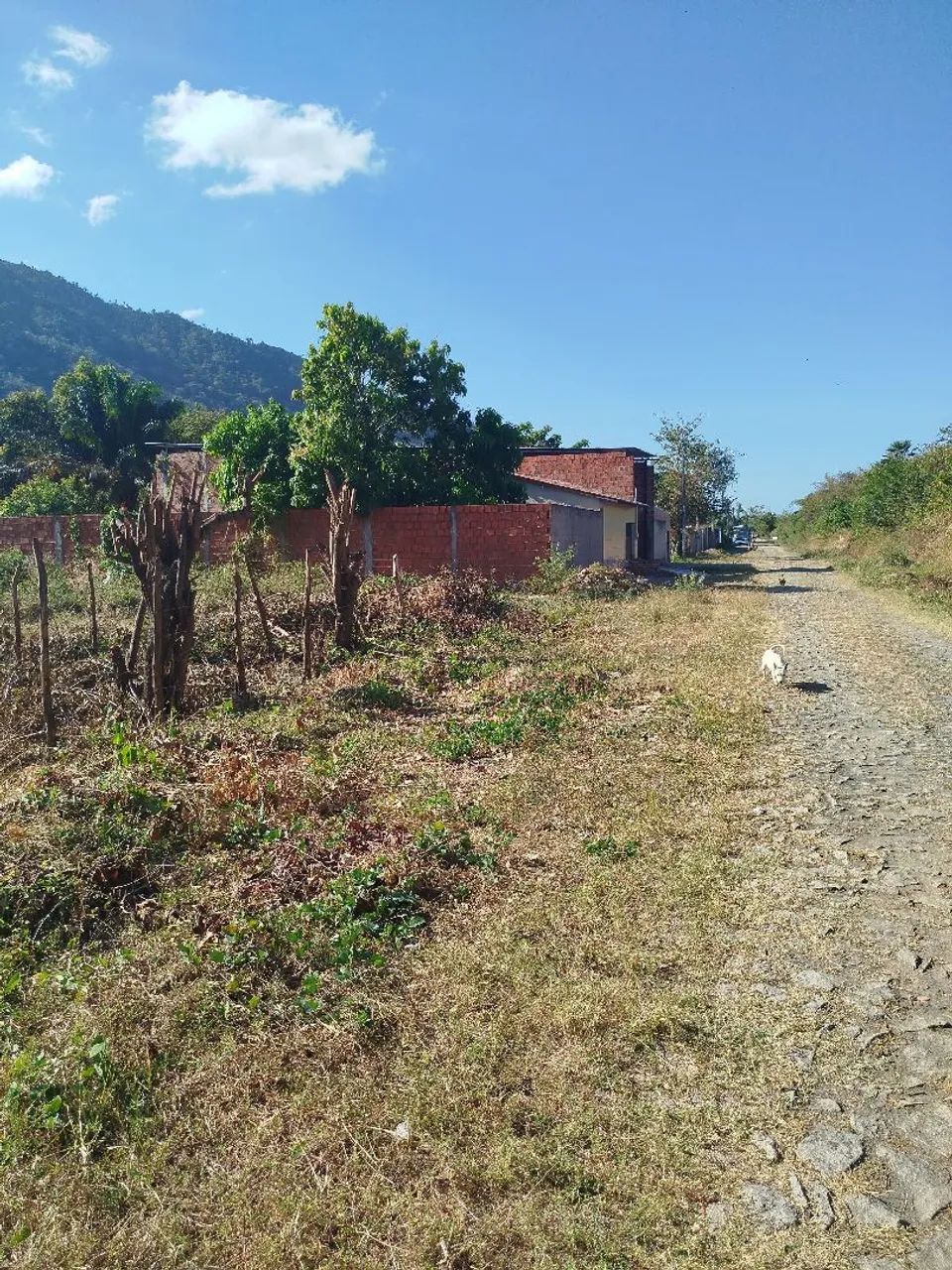 LOTE NA ÁREA CENTRAL DE PACATUBA - Foto 4