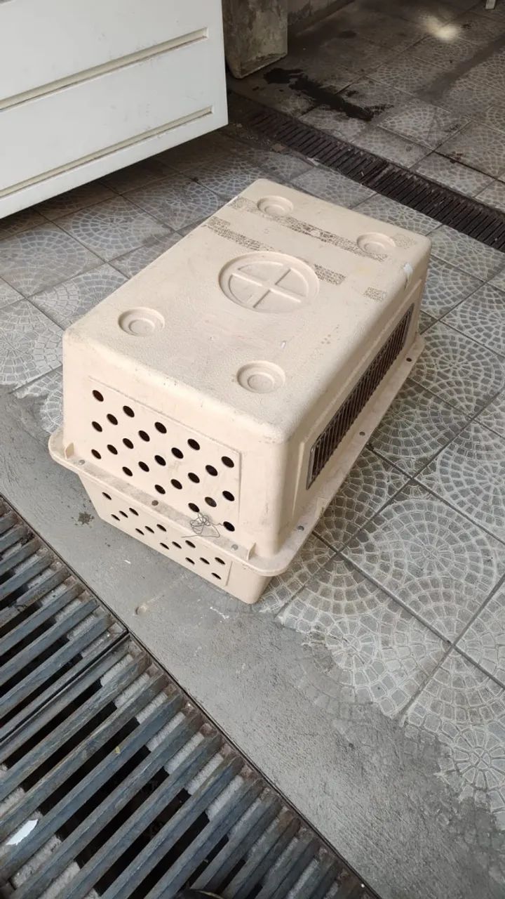 caixa de transporte para animais de médio porte 
