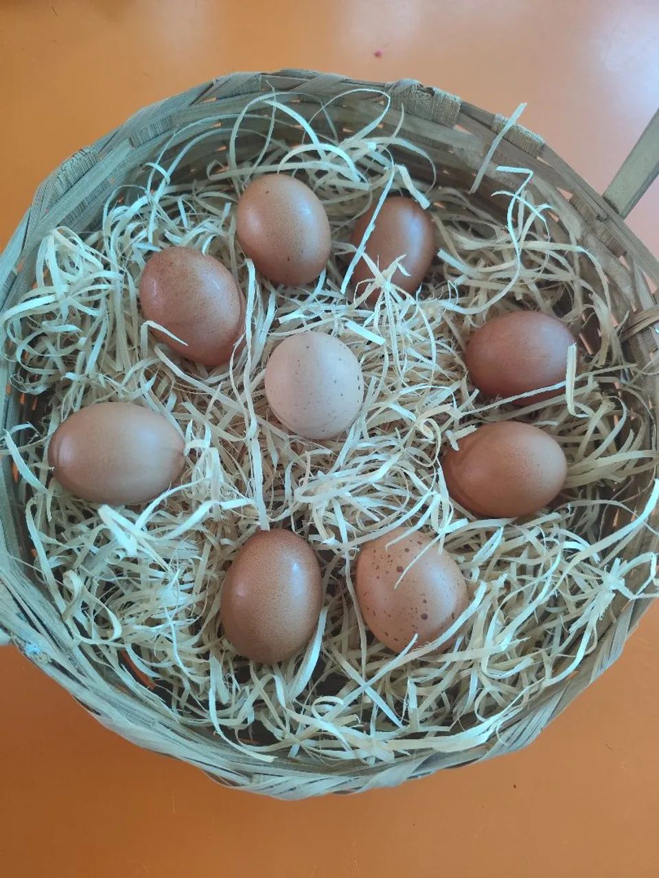 Ovos Atacado e Varejo  - Foto 3