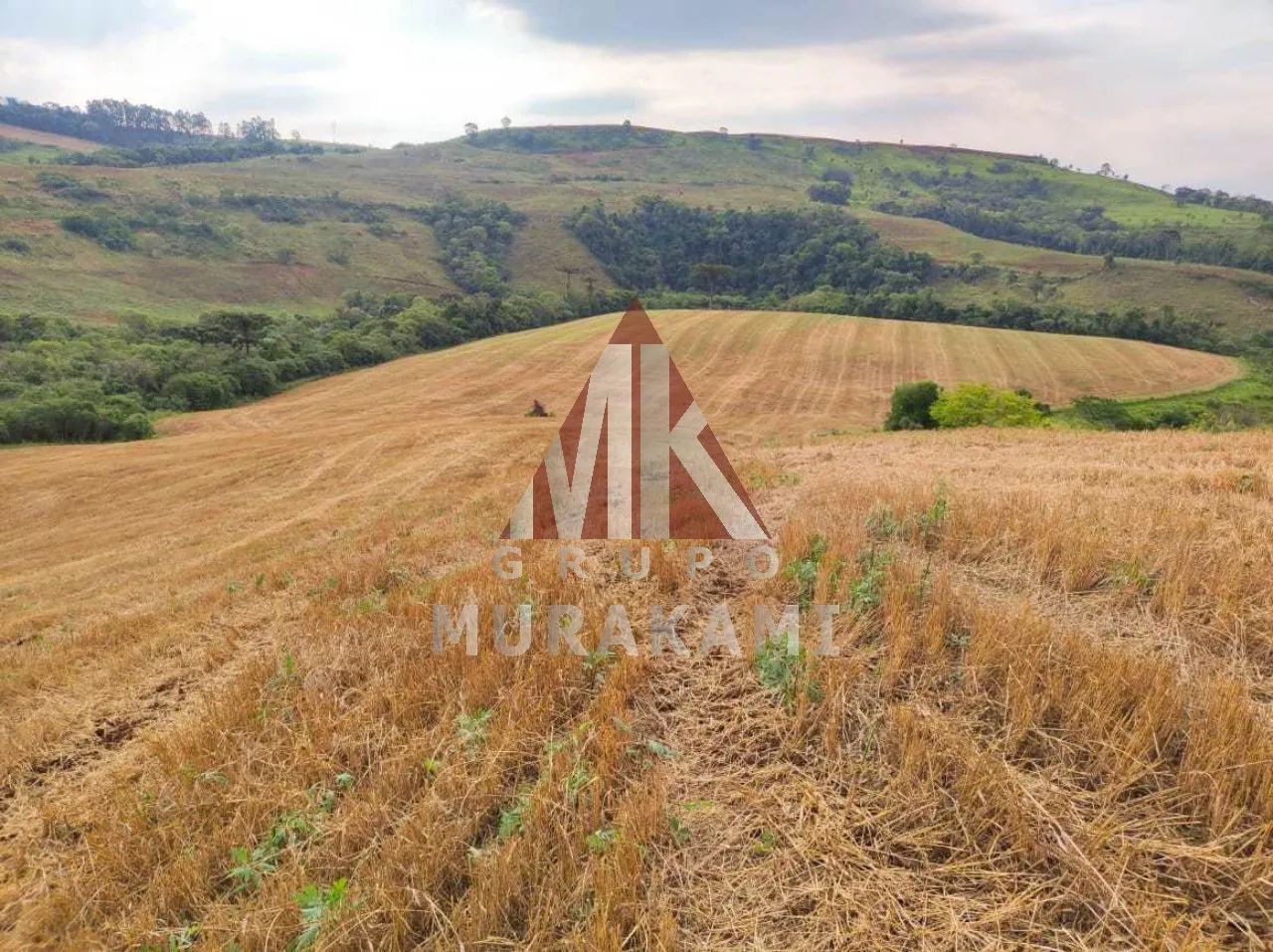 FAZENDA - PALMITAL - PARANÁ - Foto 4
