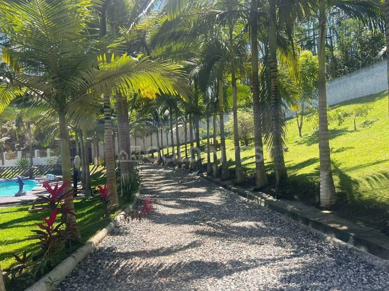 Sitio a venda em canelinha com 6.500 m2 - 27 km do centro de Brusque - Foto 4