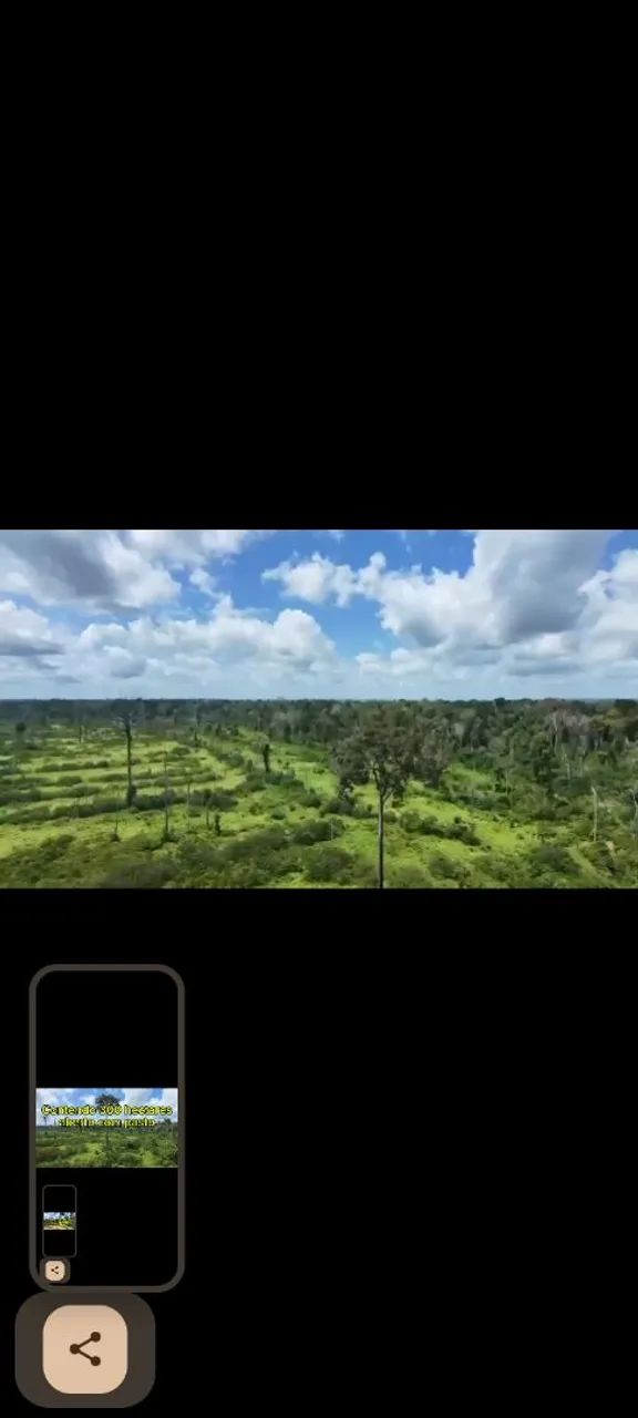 Terreno com 600 hectares de pasto  - Foto 4