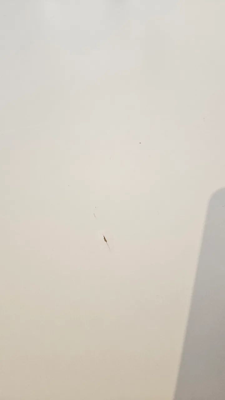 Berço e cômoda infantil  - Foto 4