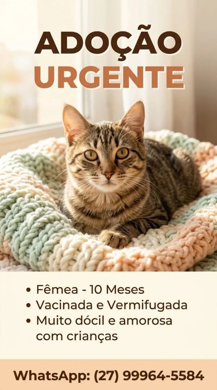 Filhotes Gatos  - Foto 4