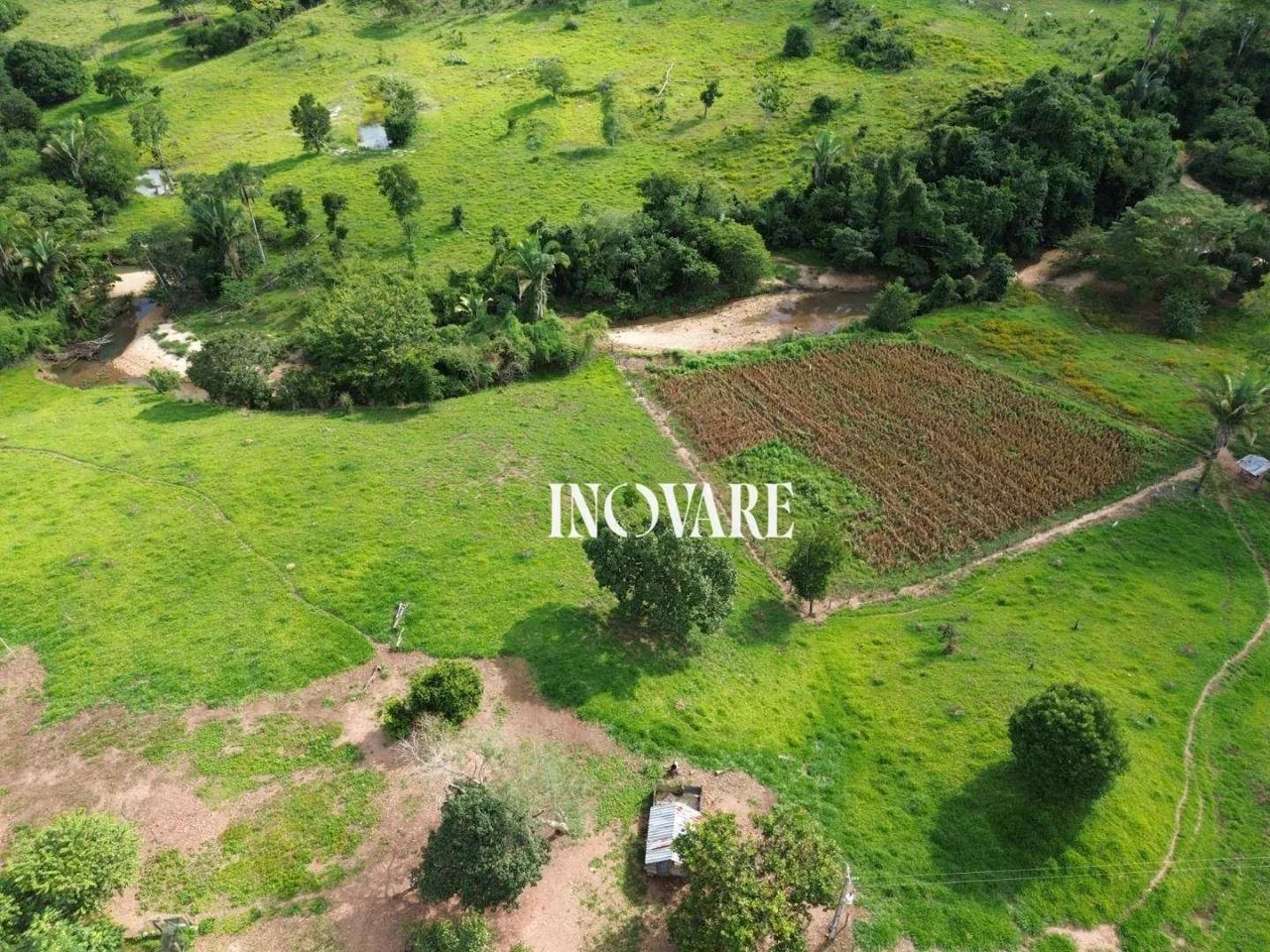 Fazenda em Minaçu - GO para Pecuária - Foto 3