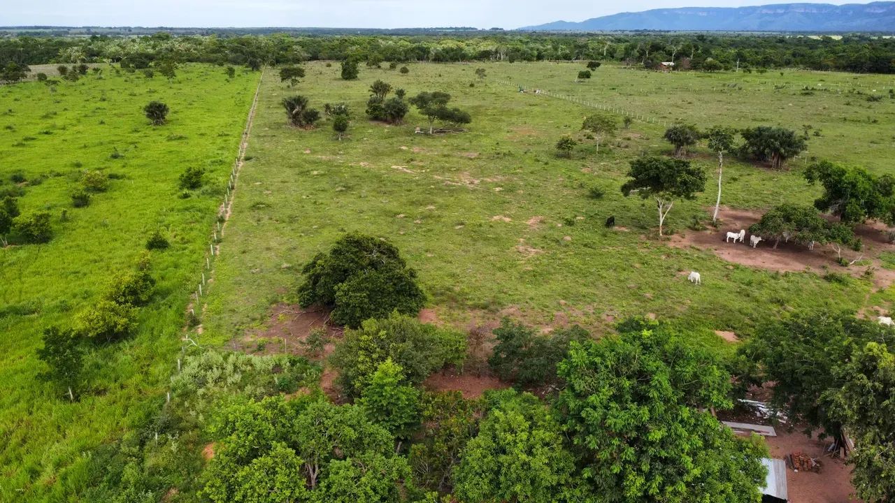 Sítio c/ 12,5he, beira de Rio, 50km de Cuiabá-MT - Foto 3