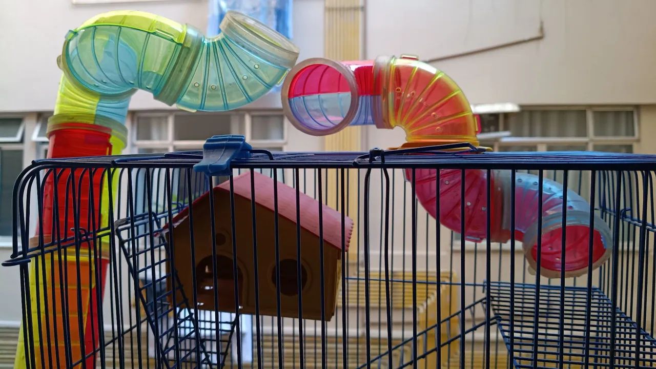 Gaiola de Hamster em bom estado. - Foto 2