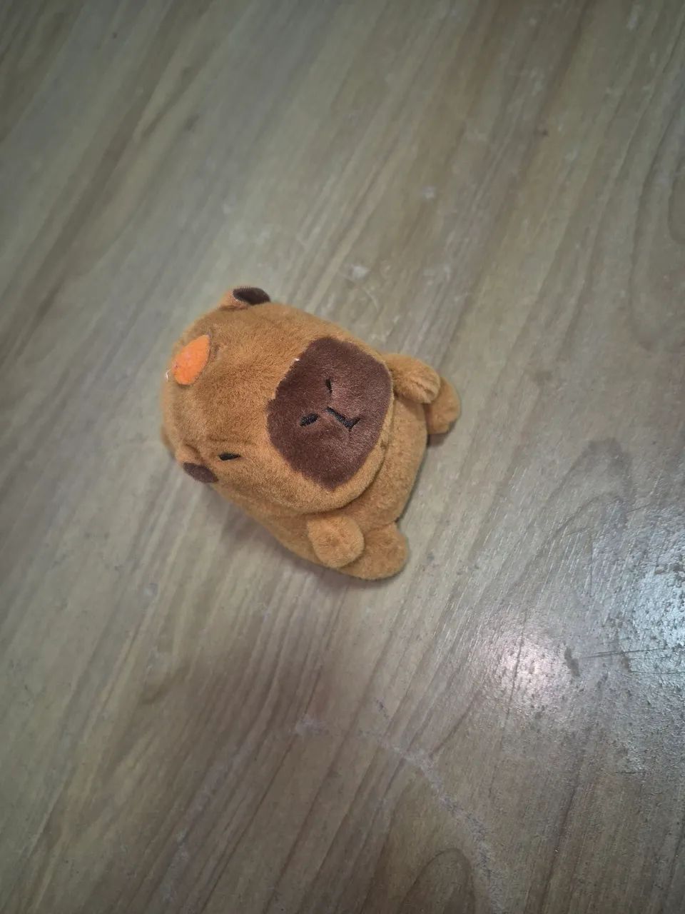 Capivara a corda - Foto 3