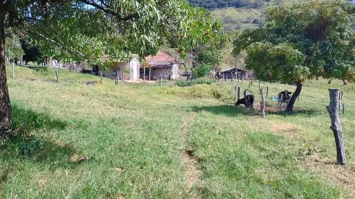 PECUÁRIA - Área Rural 14 Alqueires