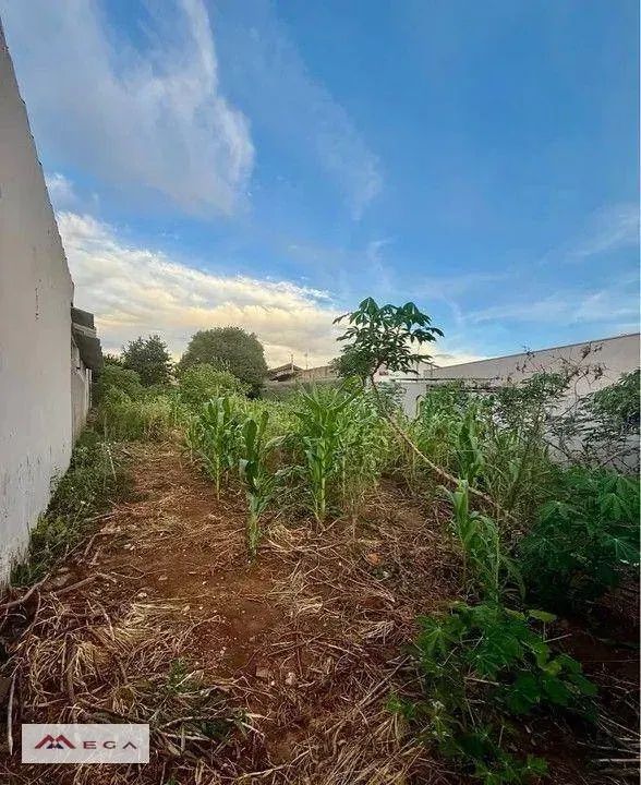 Terreno à venda, Campinas/SP - Foto 5