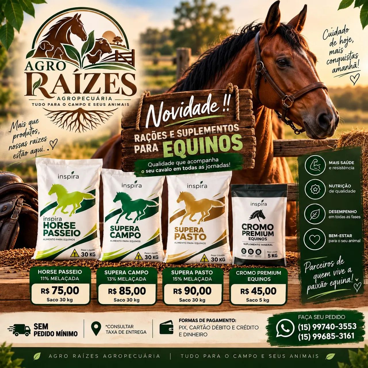 Ração de cavalo 