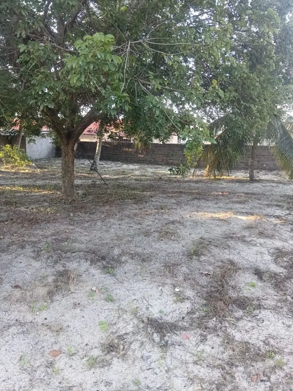Terreno - Foto 3