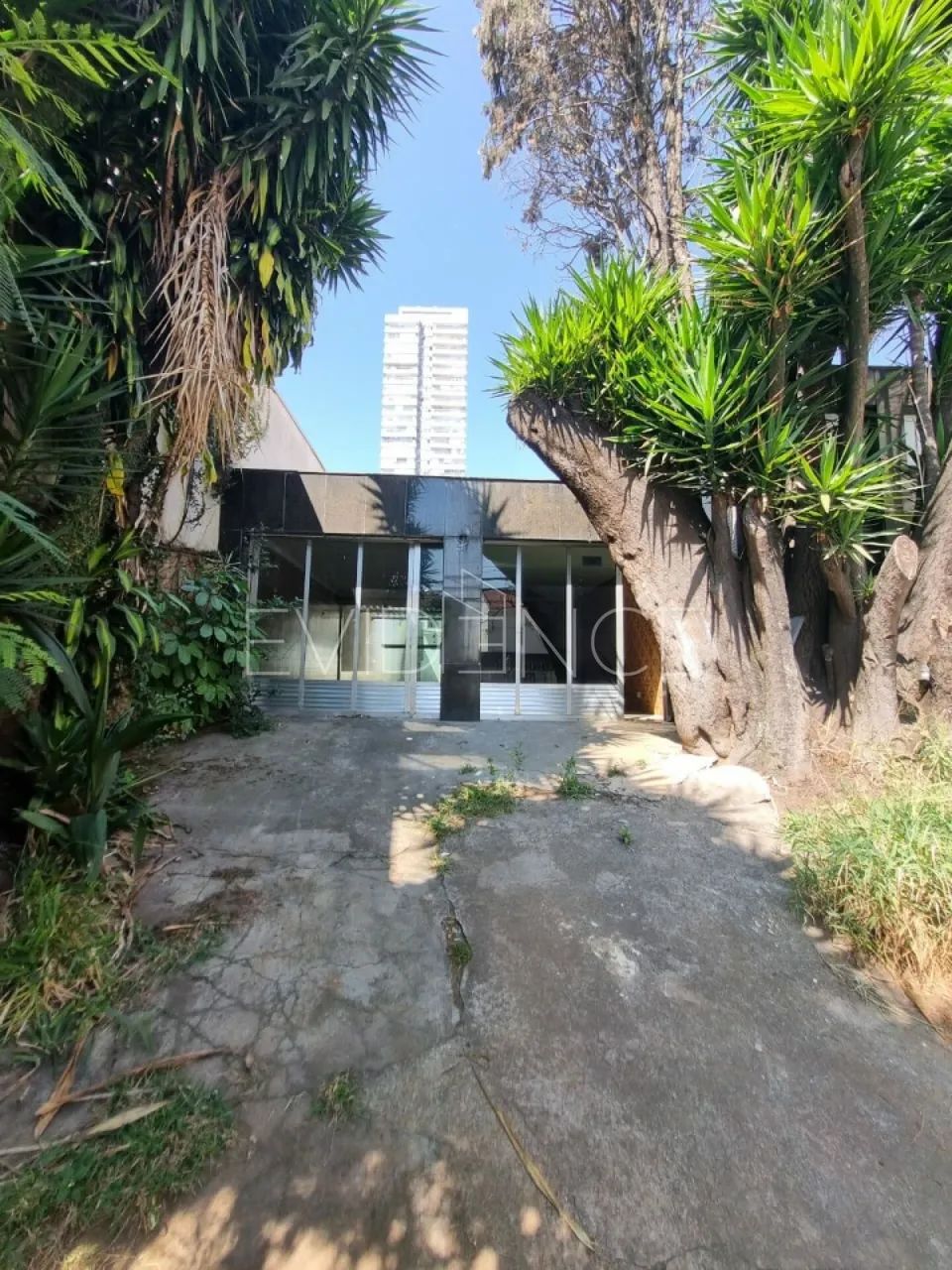 Casa térrea no bairro Tatuapé com piscina. - Foto 2