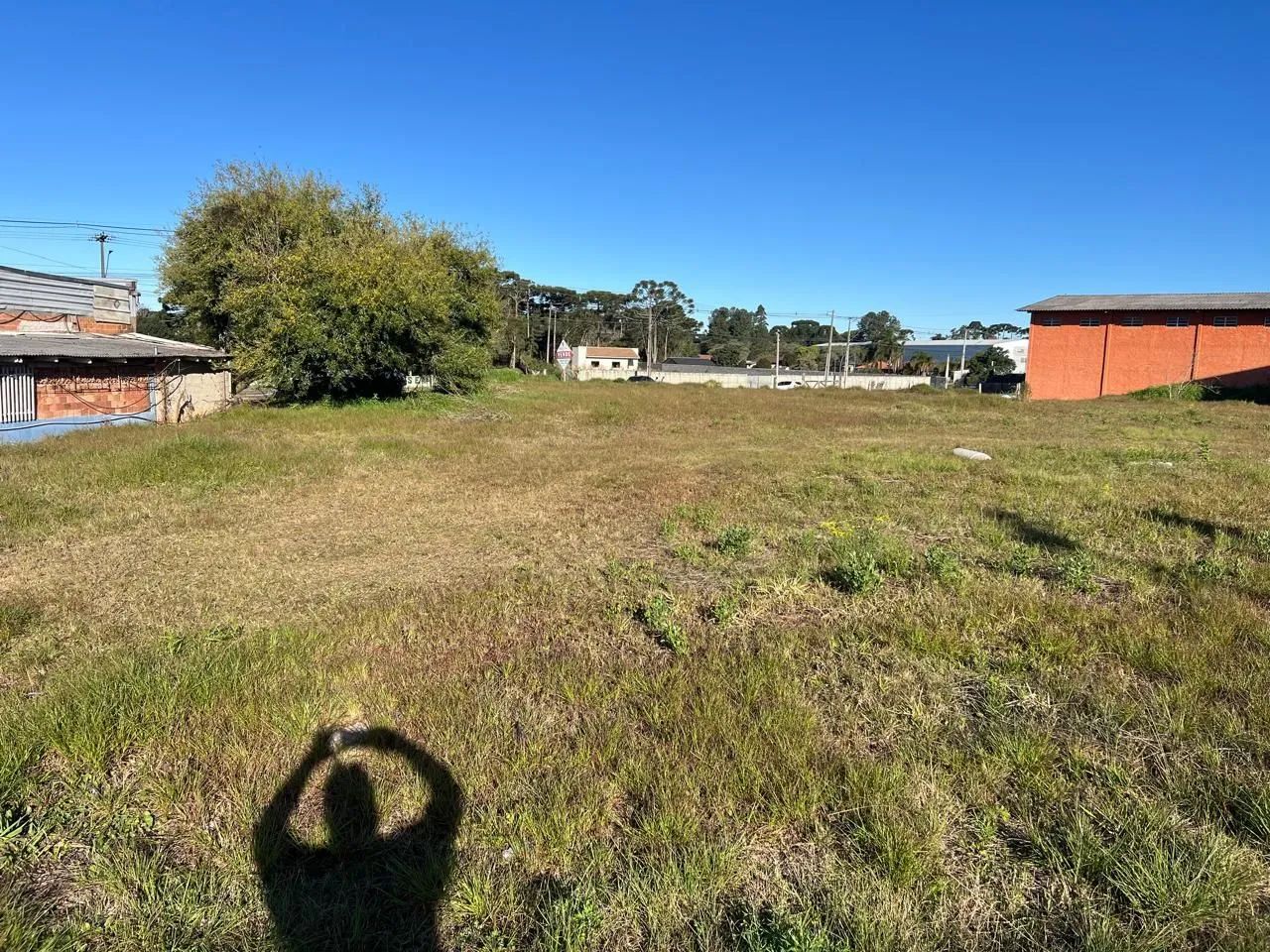 Vendo terreno em SJP - Foto 4