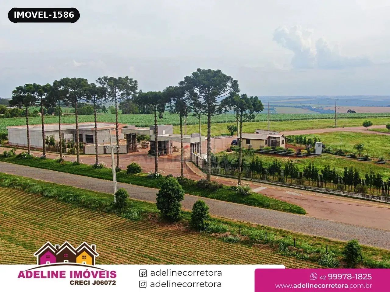 Terreno Colônia Carambeí - Foto 3
