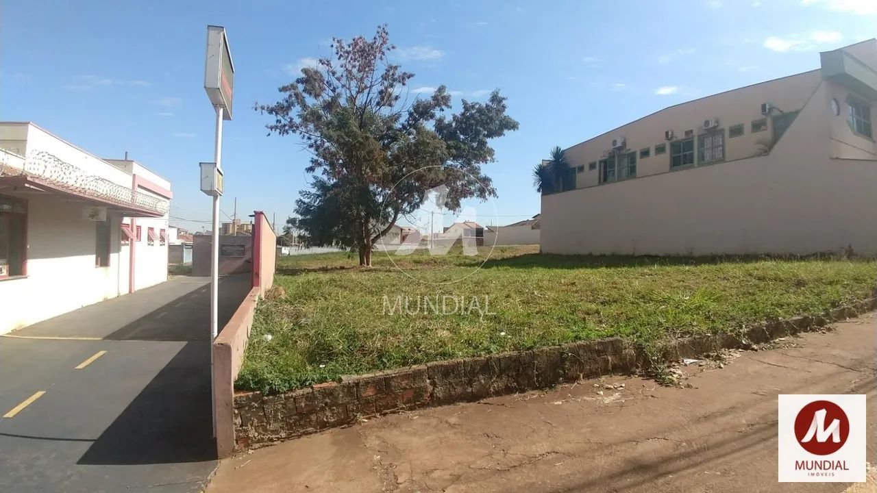 Terreno (terreno normal) - Foto 3
