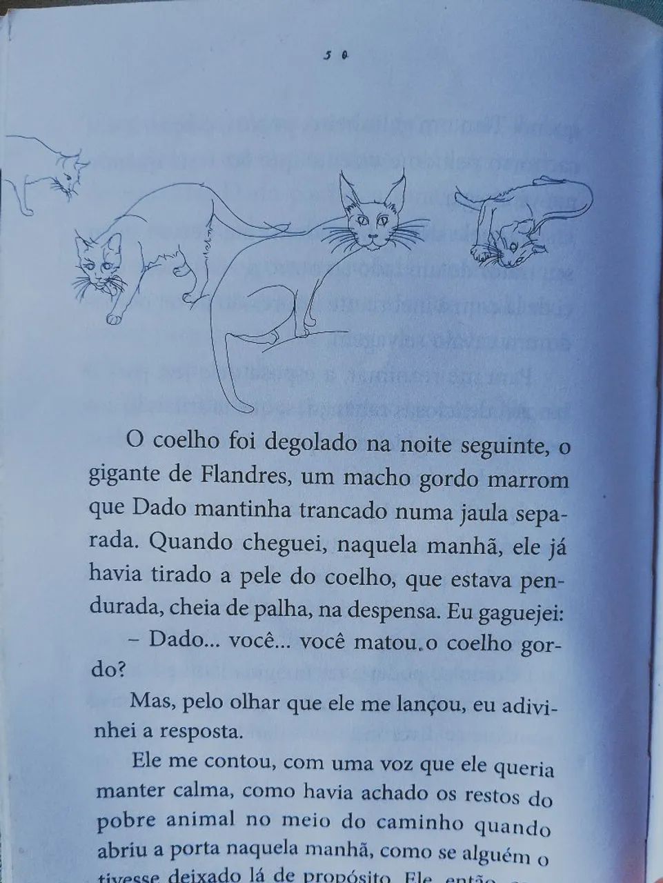 Livro Os Gatos - Foto 3