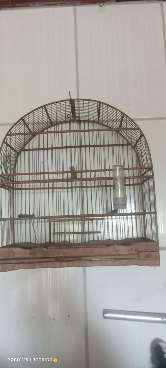 Vendo gaiolas em bom estado  - Foto 2