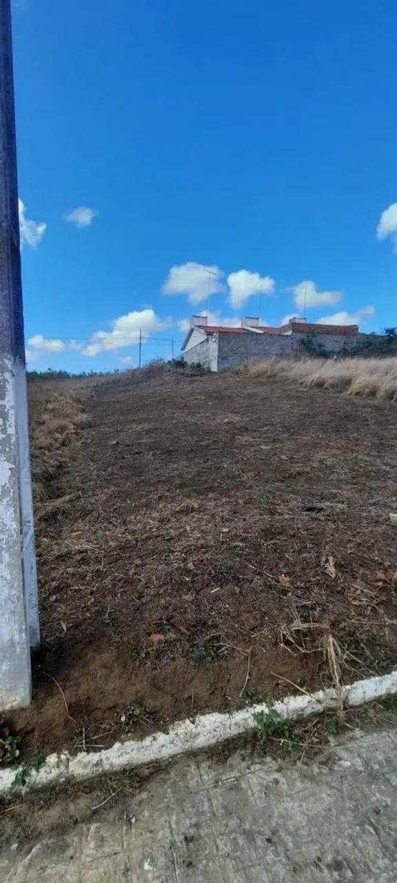 Vendo terreno 10x25 - Foto 2