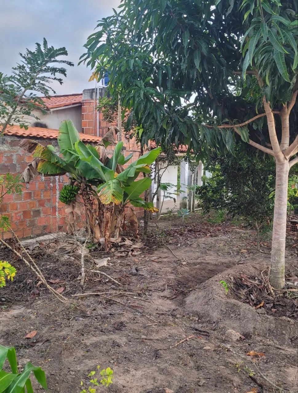 CHÁCARA EM TIQURUÇÚ - Foto 5