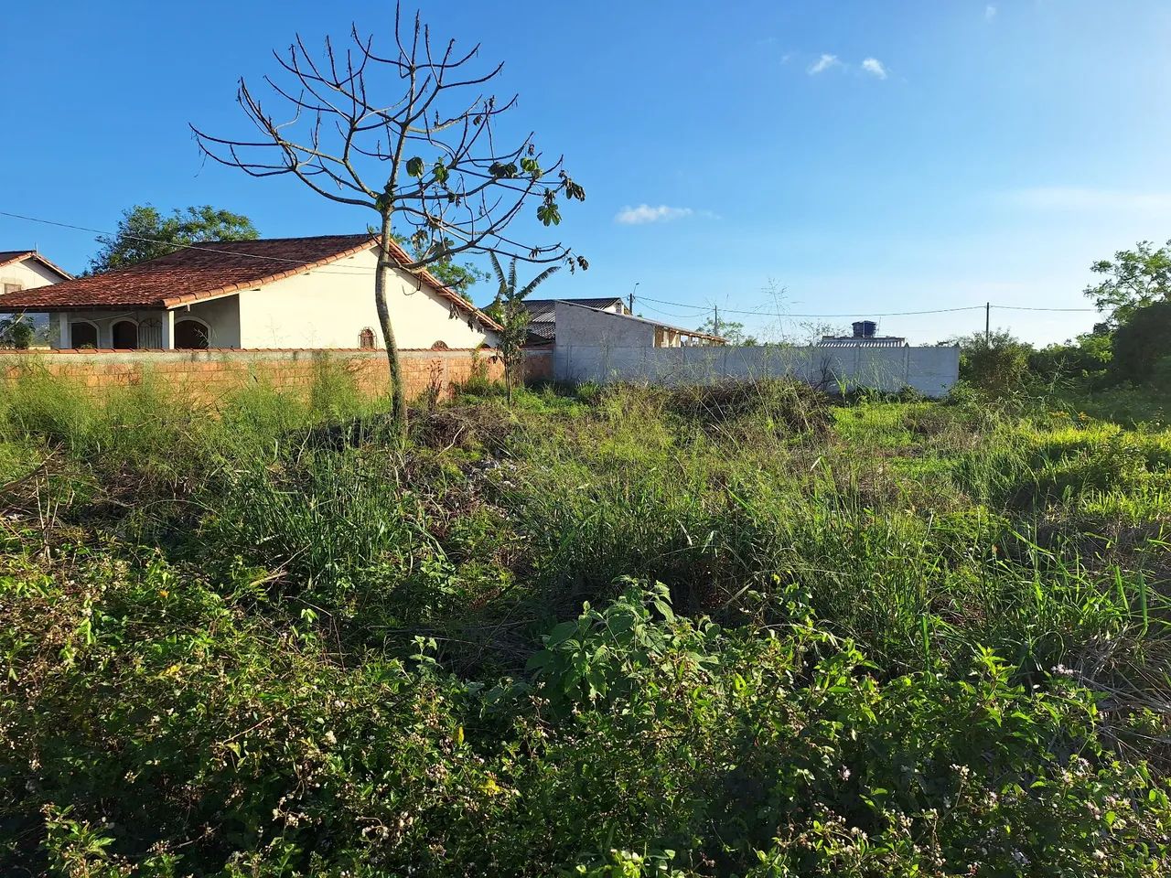 Terreno plano e com RGI - Região dos Lagos - Rj. - Foto 2