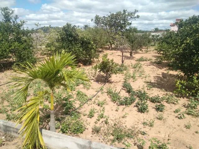LOTE DE 4356M² TODO MURADO - Foto 5
