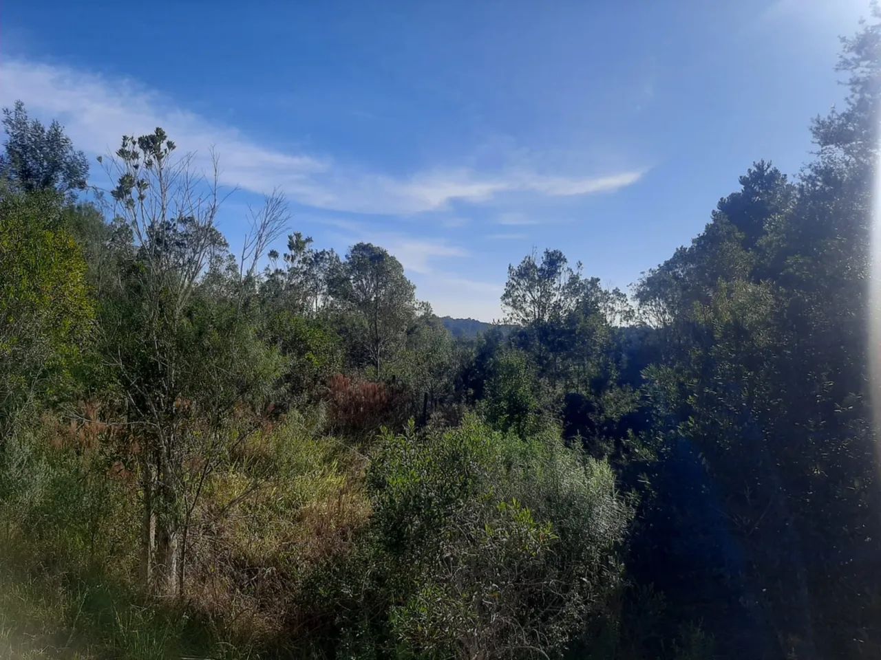 CHÁCARA CÓRREGO FUNDO - Foto 3