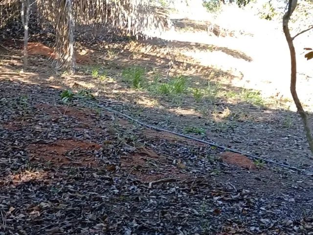Vendo Terreno 800m²  - Foto 5