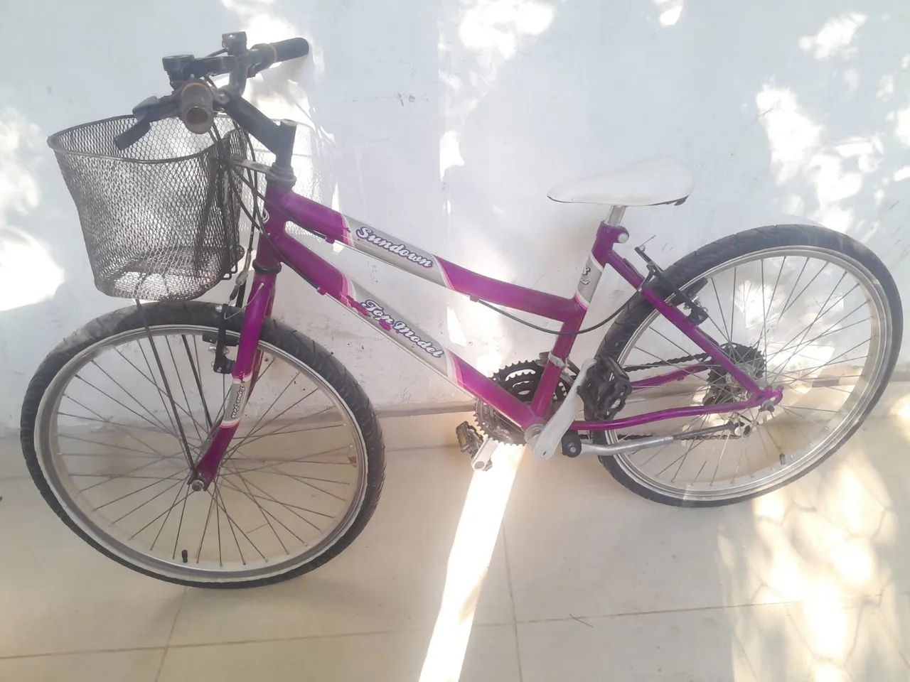 Bicicleta de Marcha 