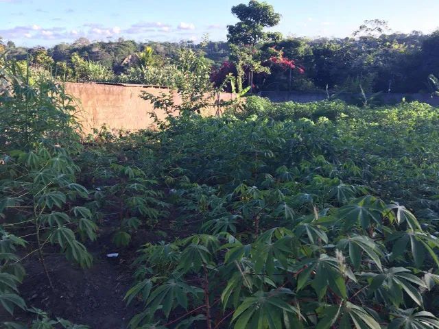 Terreno 1.000m2 de 20x50 - Condomínio Recanto de Aldeia KM 12! - Foto 6
