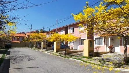 Foto - Cotia - Granja Viana