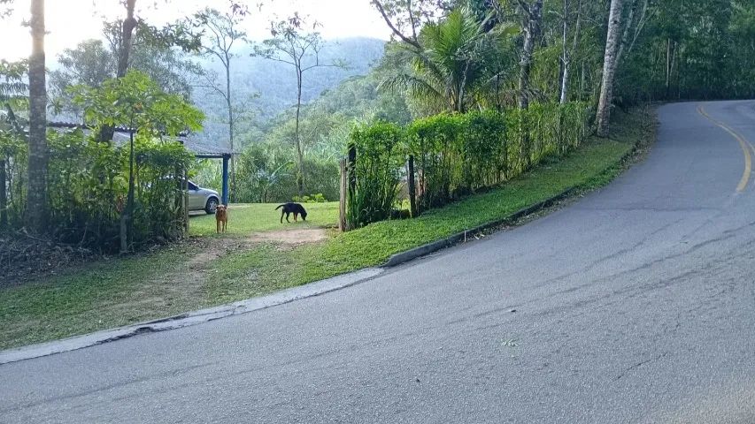 Chácara de 4.000m² com área verde e casa antiga