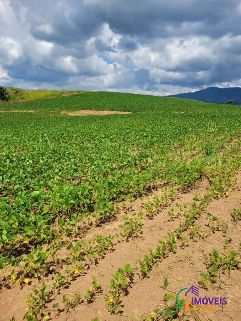 FAZENDA - CENTRO - MG - Foto 2