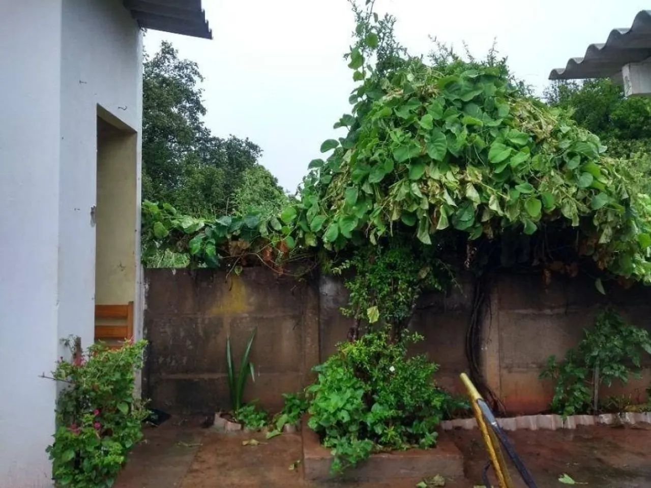 Casa 128 m² - Centro - Promissão - SP - Foto 5