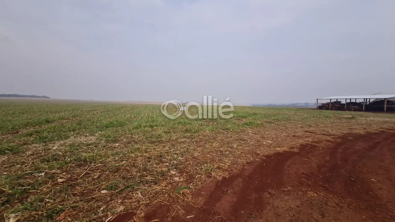 Fazenda de 404 Hectares  Próxima a Sidrolândia/MS - Foto 3