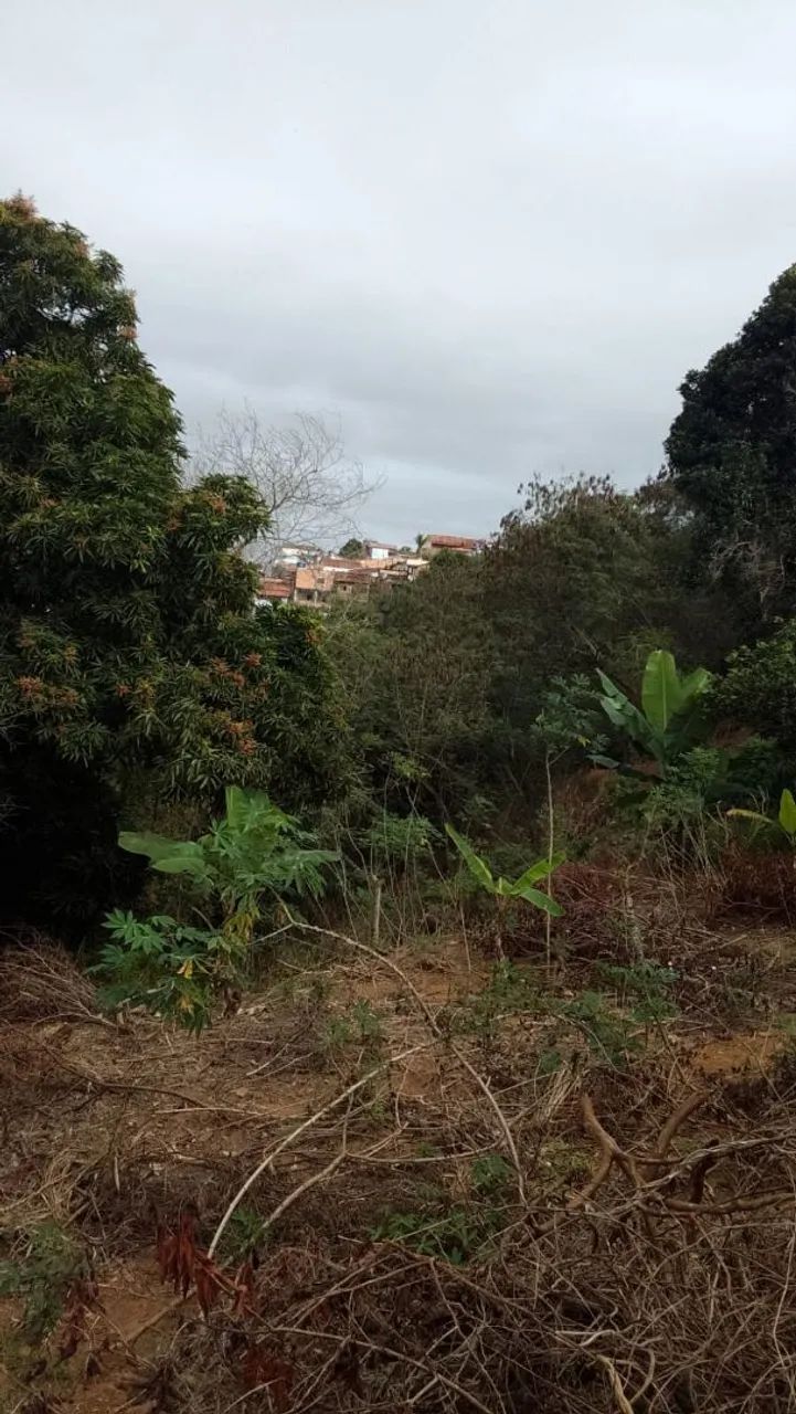 Vende-se Lote  - Foto 3