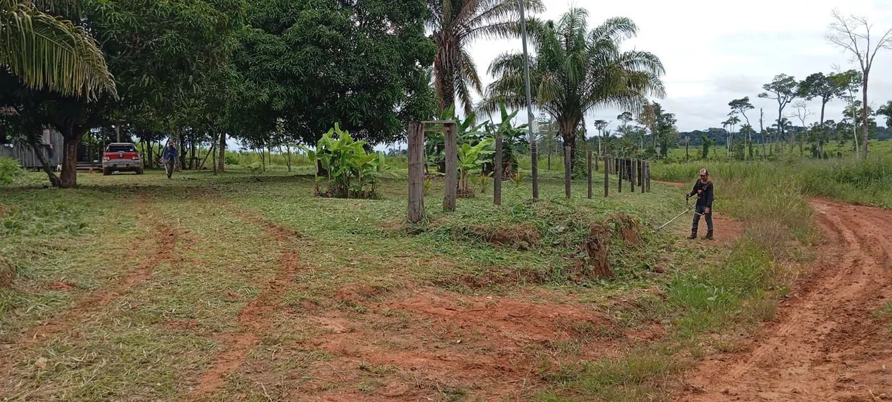 VENDO SÍTIO - Foto 4