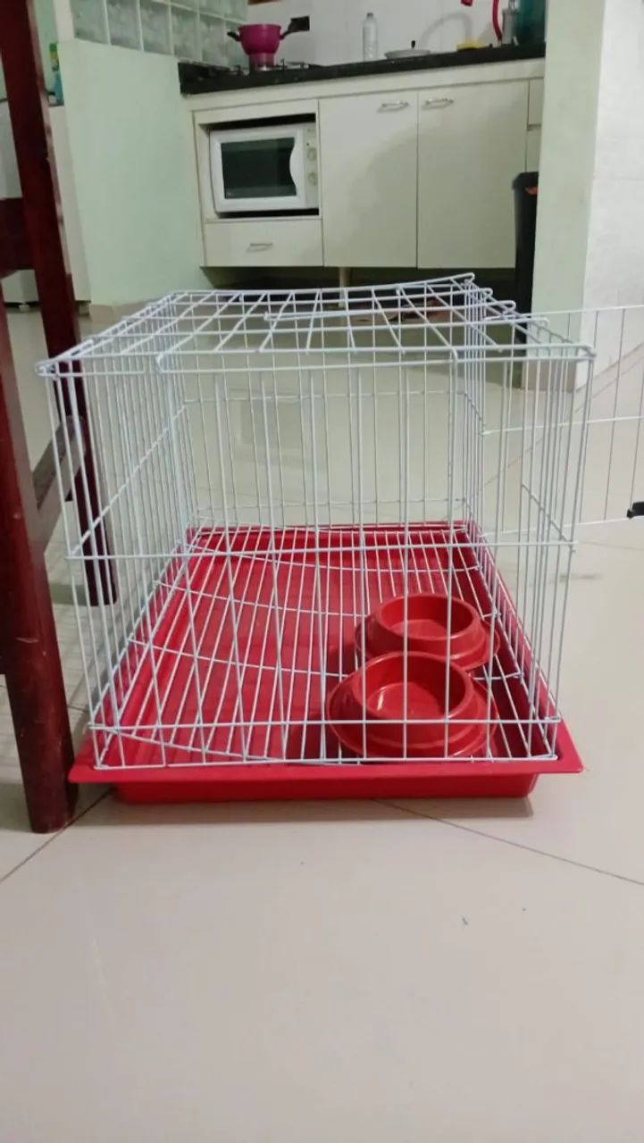 Gaiola nova 90,00 leia 