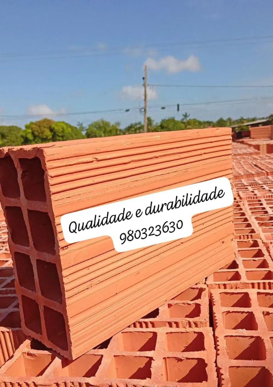 Tijolos 19x29 valor 1500